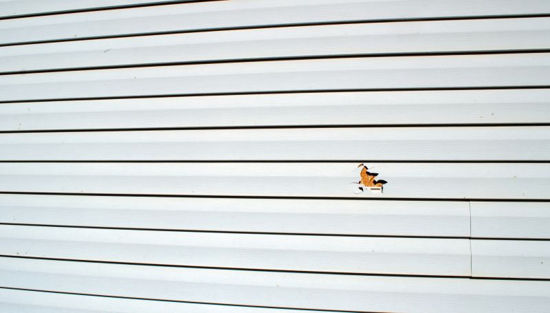 Siding Repair Process